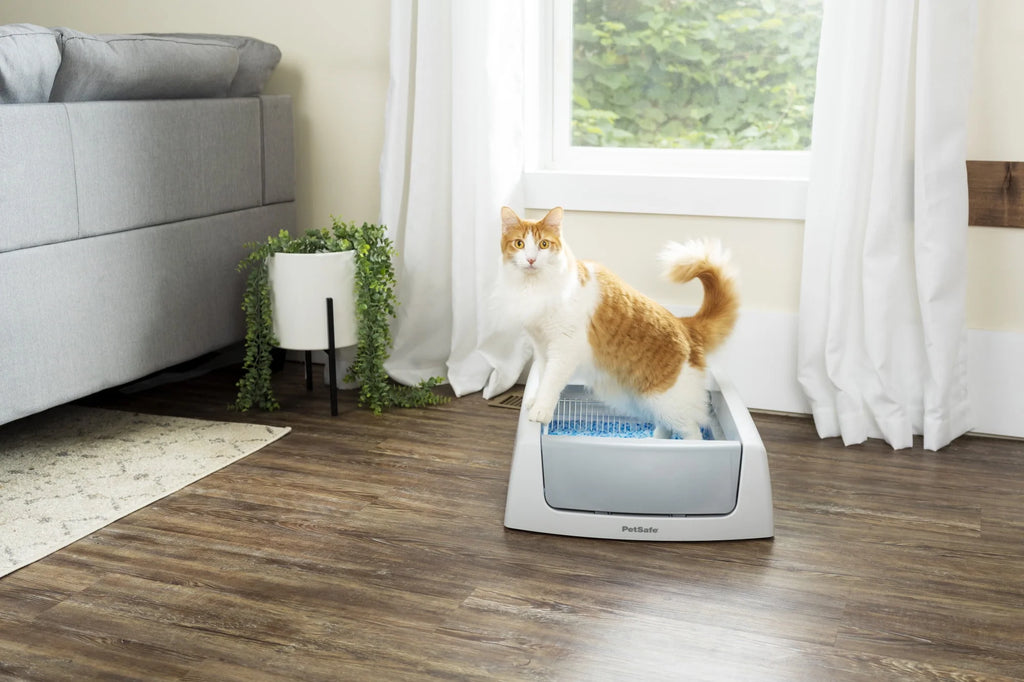Self-Cleaning Cat Litter Box Q63338