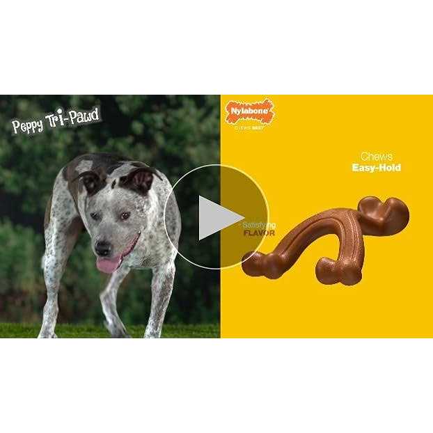 Beef Bone Q487853