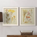Antique Botanical Sketch Framed Print K120965
