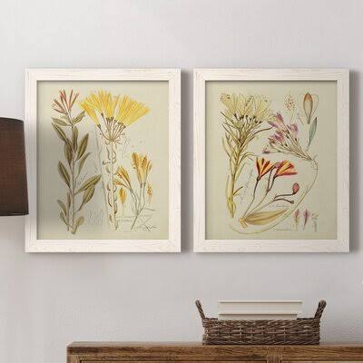 Antique Botanical Sketch Framed Print K120965