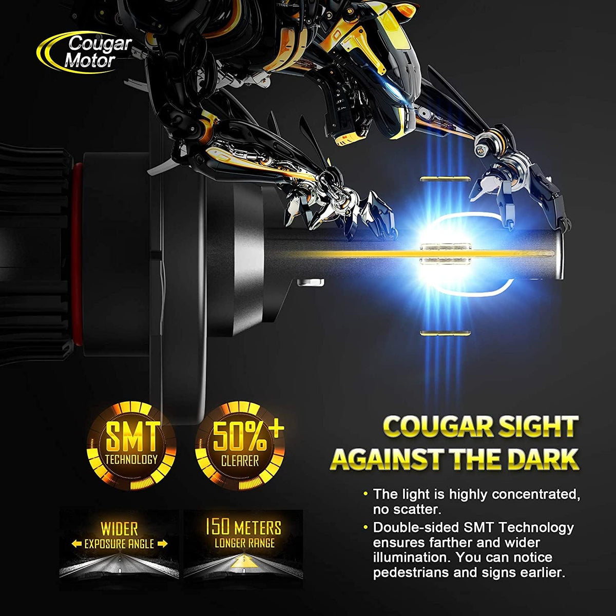 X-Small H4 LED Bulb, 6500K Cool White, Pack of 2 V59819