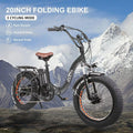 20" x4.0 Fat Tire 500W 48V/12Ah Removable Battery Electric Bike D318964