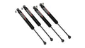 Twin-Tube Shocks V2846