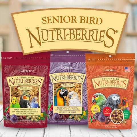 Senior Bird Nutri Berries Parrot Food P750682
