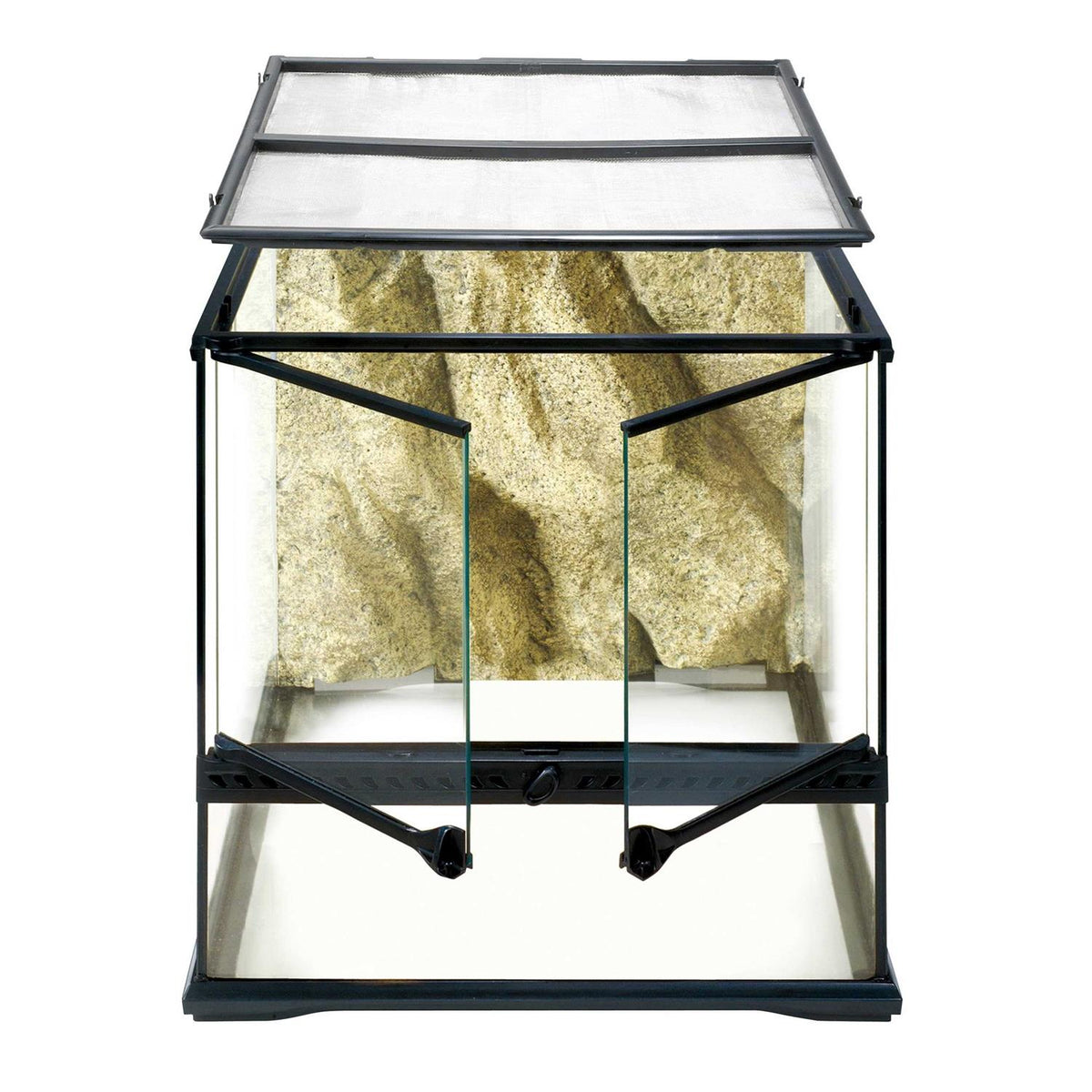 Glass Terrarium B2692