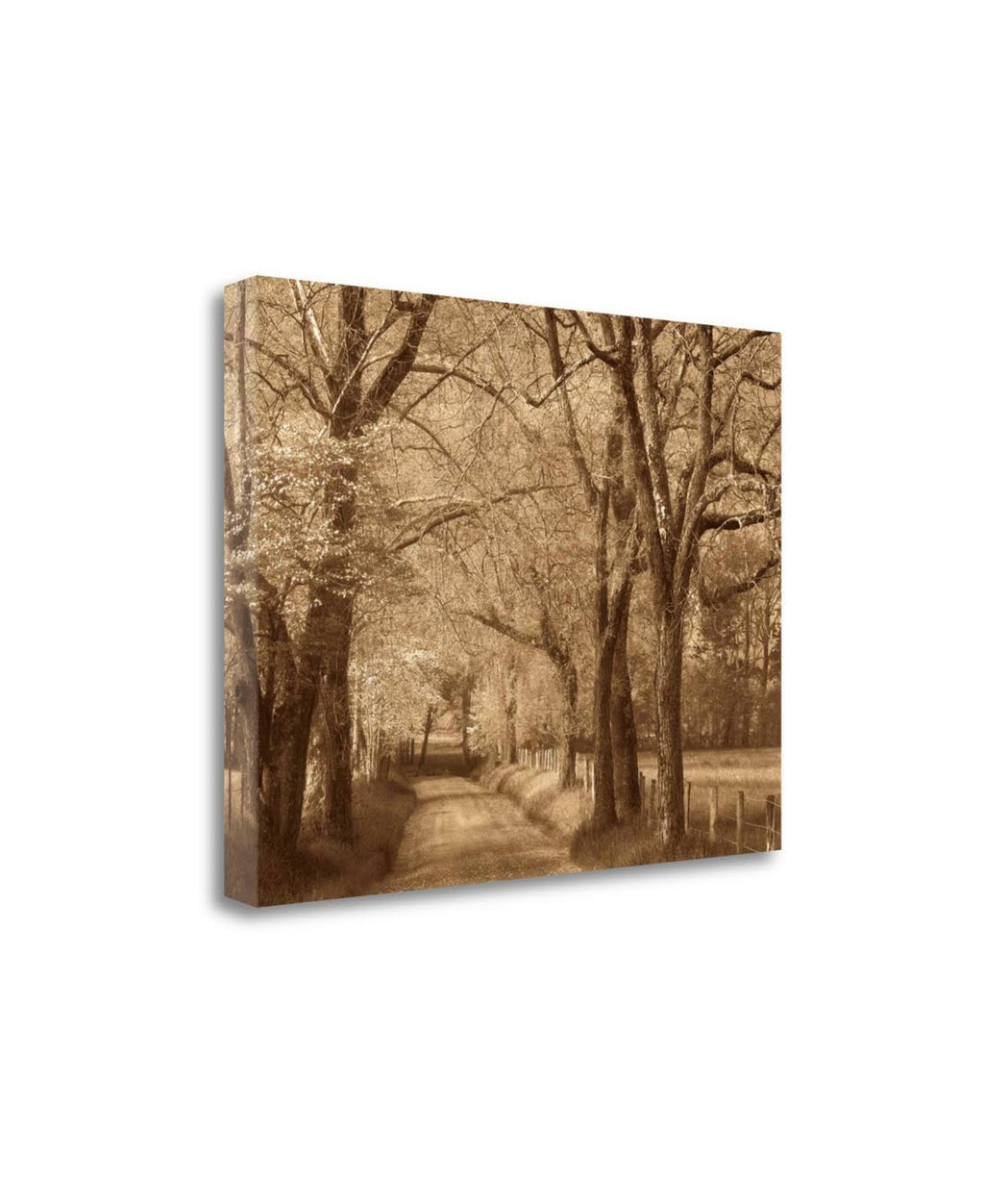 Smokies Road Fine Art Giclee Print Q9948