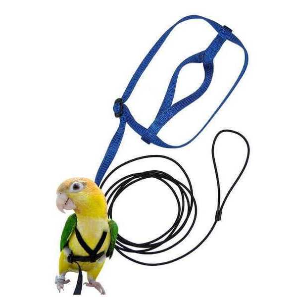 Bird Harness and Leash P752387