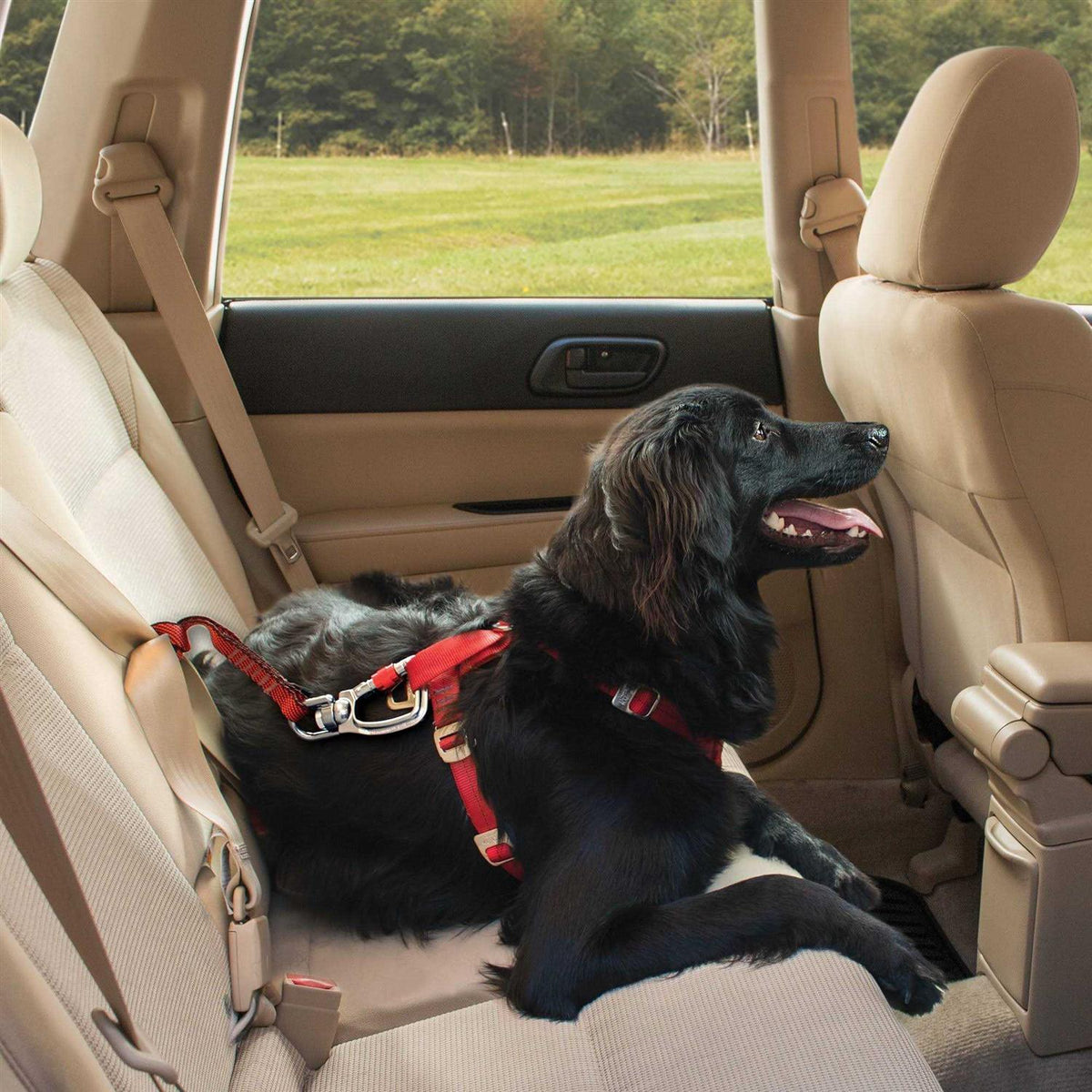 Dog Swivel Tether A53622