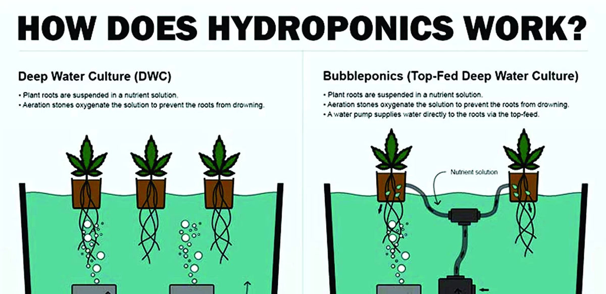 A/C Powered DWC Deep Water Culture Hydroponic Garden System Kit H325