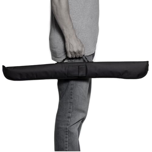 Pool Billiard Cue with Soft Case B581