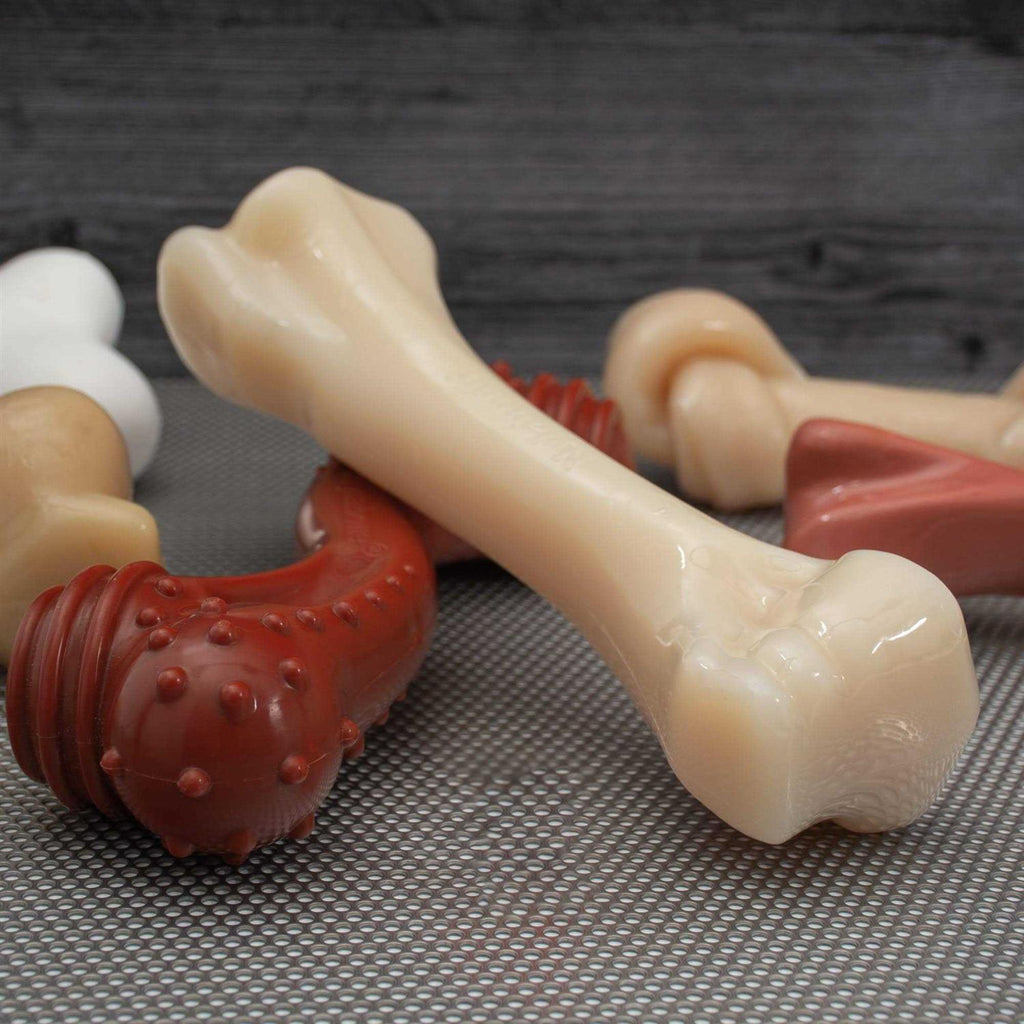 Beef Bone Q487853