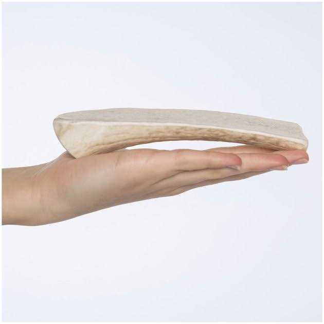 Elk Antler Split Dog Chew B930982