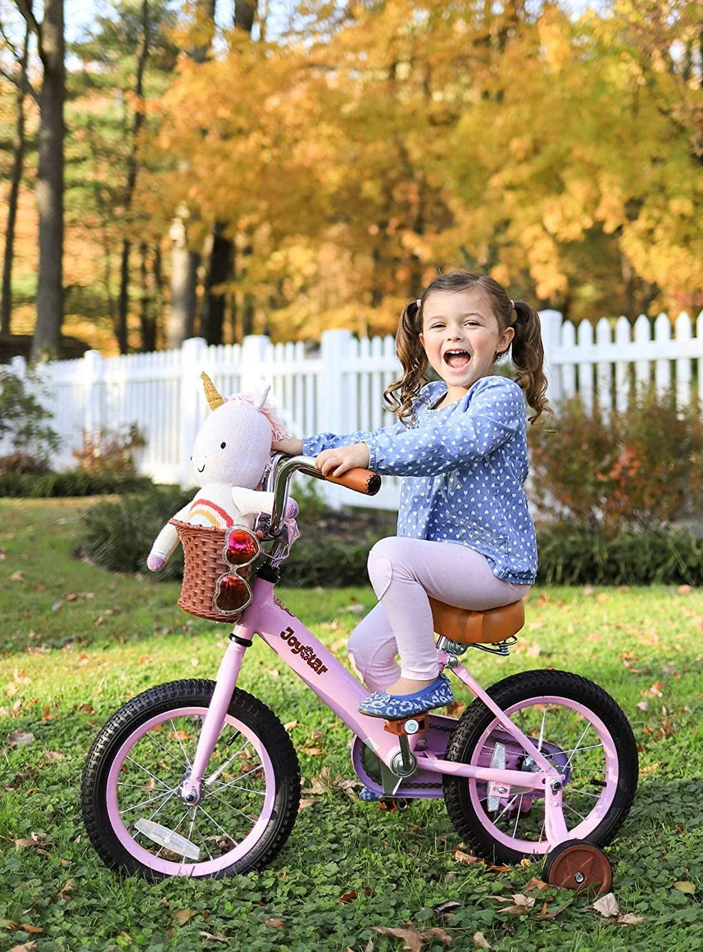 12 & 14 & 16 & 20 Inch Kids Bike with Basket & Training Wheels J139851