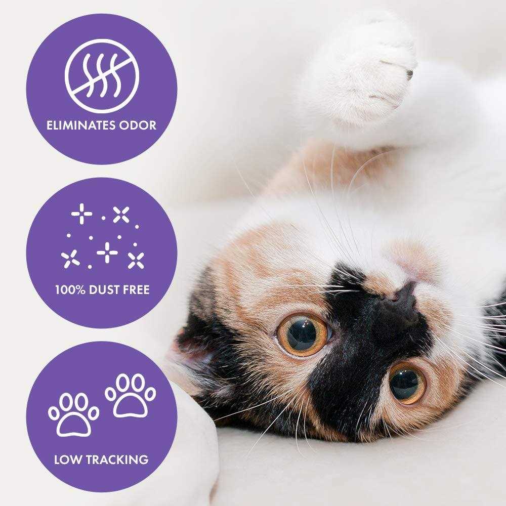 Clumping Crystal Cat Litter E758033