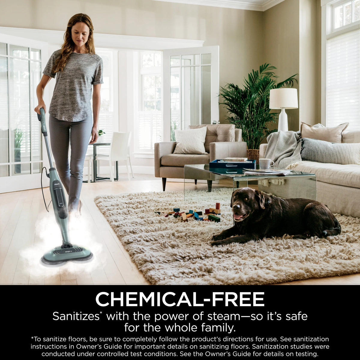 Steam Mop D87130