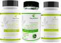 Probiotic & Prebiotic Gummies and Digestive Enzymes H2904