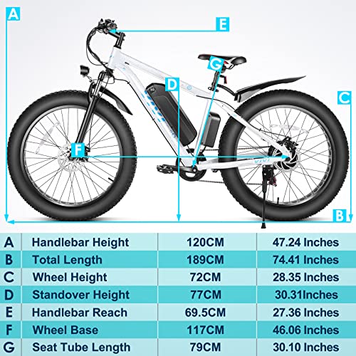 26" x 4.0 Fat Tire Electric Bicycle with 48V 13AH Removable Lithium-Ion Battery C21135