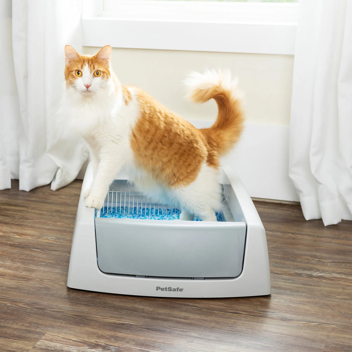 Self-Cleaning Cat Litter Box Q63338