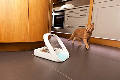 Microchip Automatic Pet Feeder for Wet and Dry Food B952