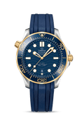 Blue 42mm Diver Watch I418879