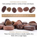Natural Decorative Polished River Rocks Pebbles S24302