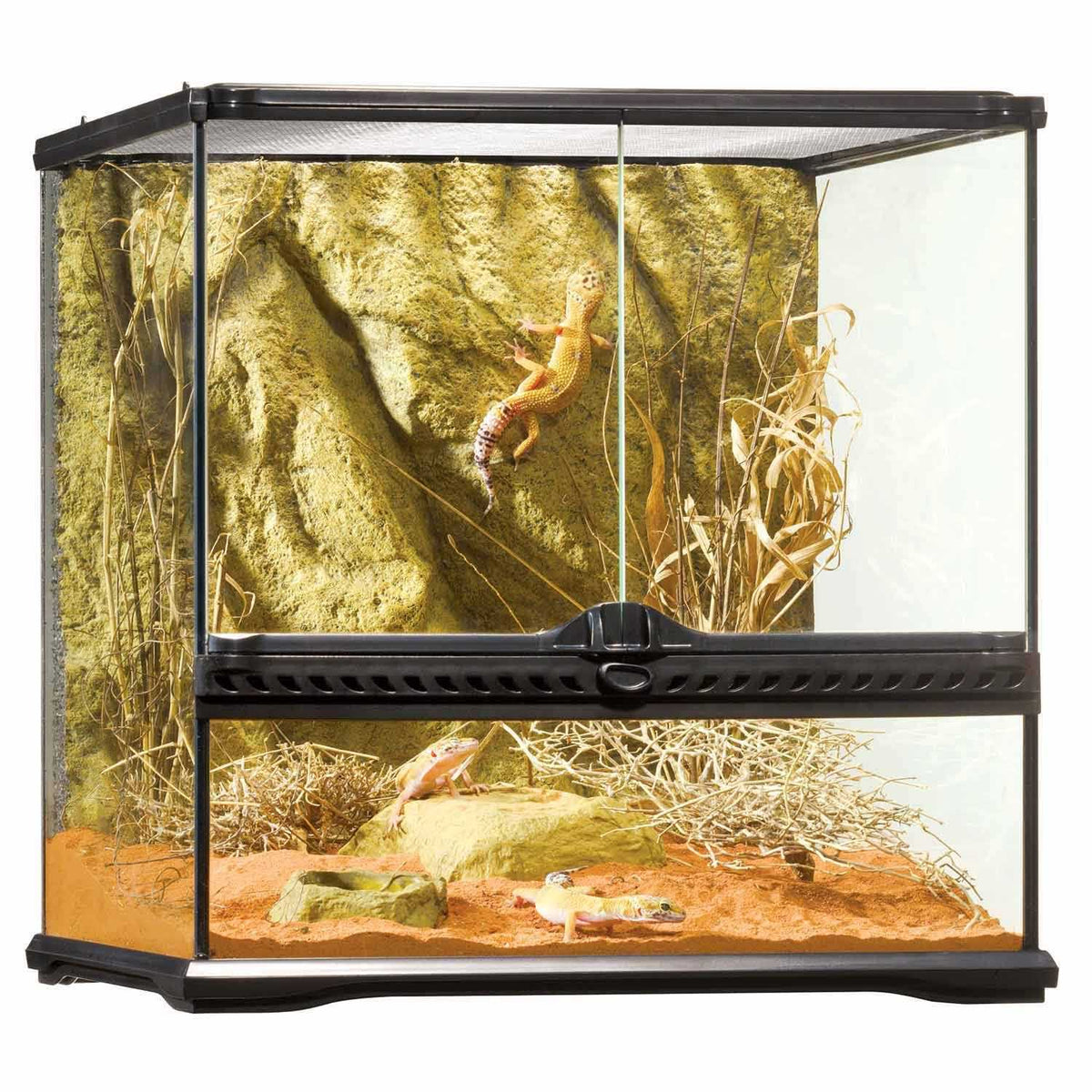 Glass Terrarium B2692