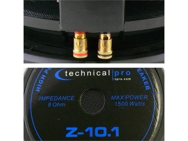 10x22 Black Subwoofer Z25685