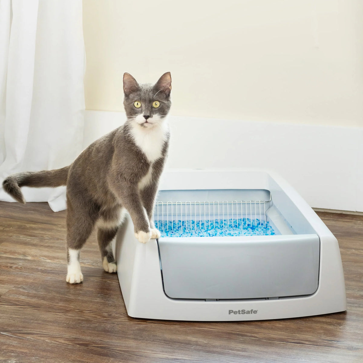 Self-Cleaning Cat Litter Box Q63338