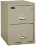 Two-Drawer Vertical Fire Resistant File Cabinet, Letter Size, Pewter P646041