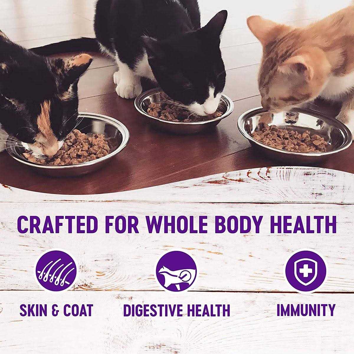 Cat Food I25063
