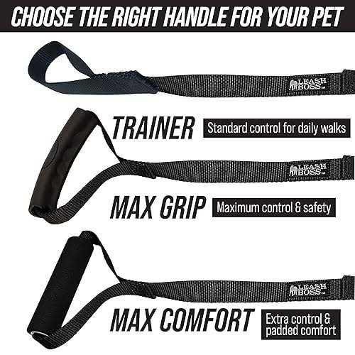 Dog Leash A498840