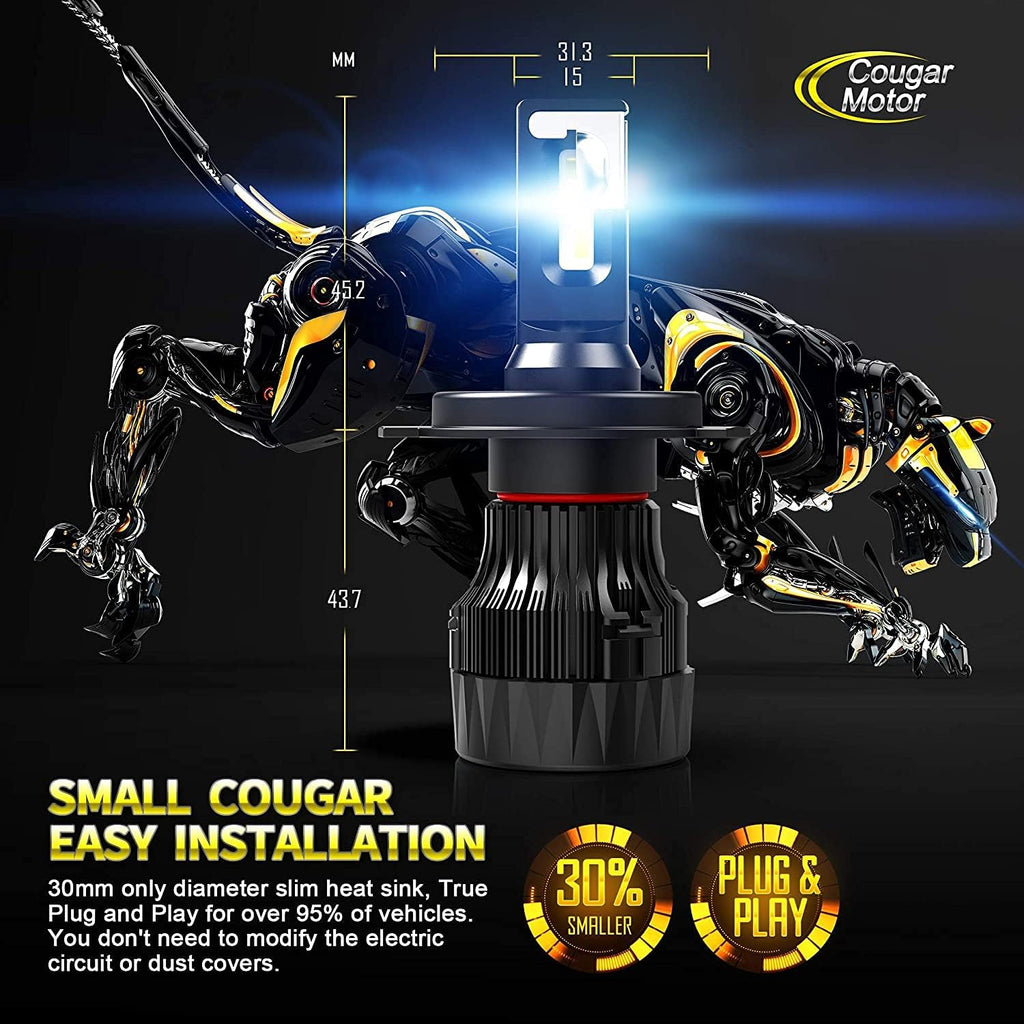 X-Small H4 LED Bulb, 6500K Cool White, Pack of 2 V59819