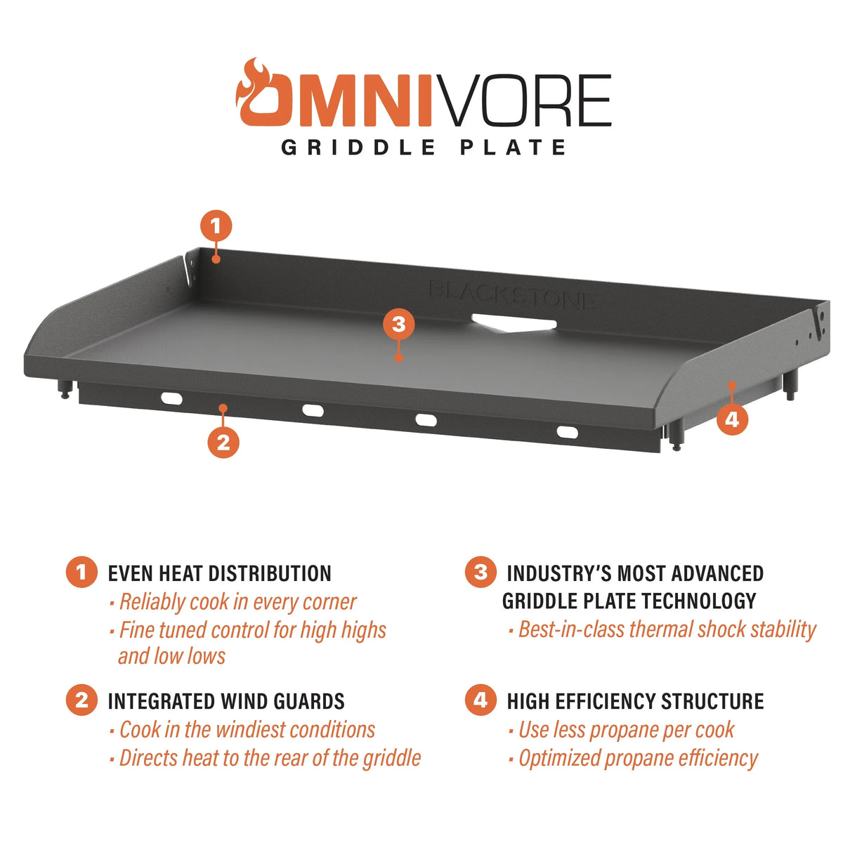 2-Burner Propane Griddle F467675