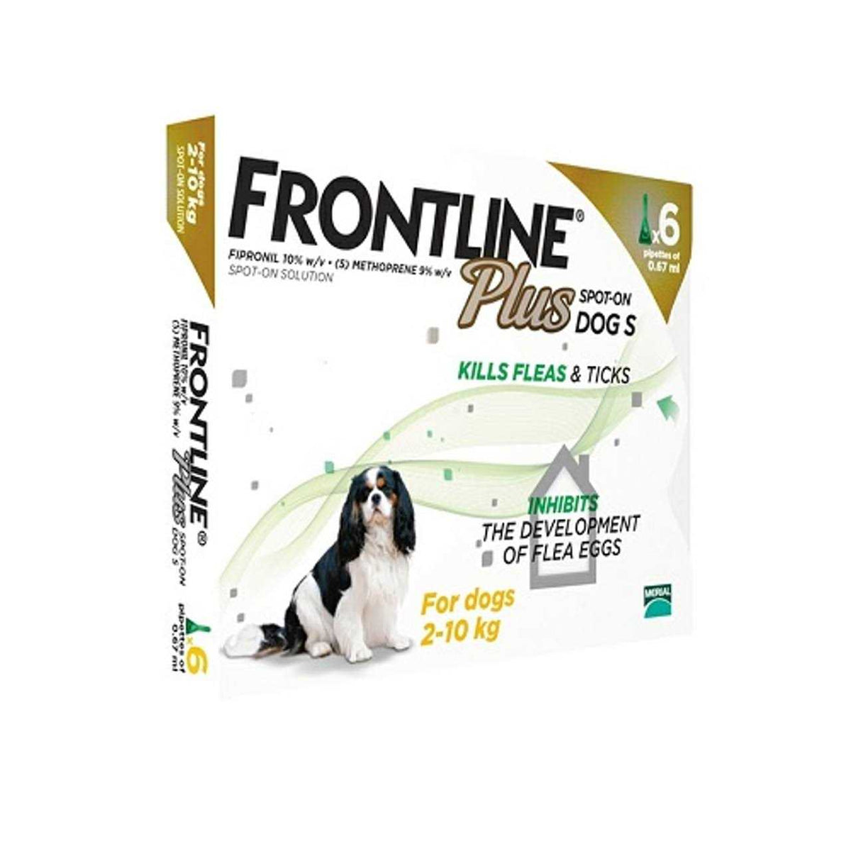 Small Dogs 2-10Kg Pet Supplies N17305