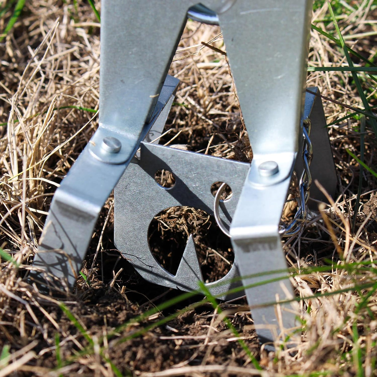 Scissor Mole Trap 4pk D7261