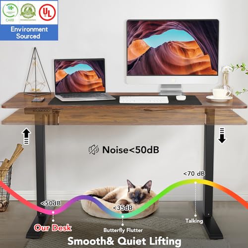 Electric Standing Desk 55 x 24In with Charging Station G3734