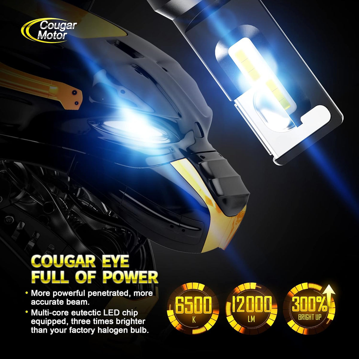 X-Small H4 LED Bulb, 6500K Cool White, Pack of 2 V59819