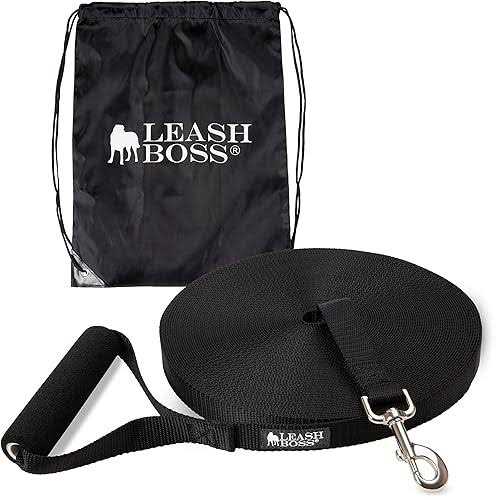 Dog Leash A498840