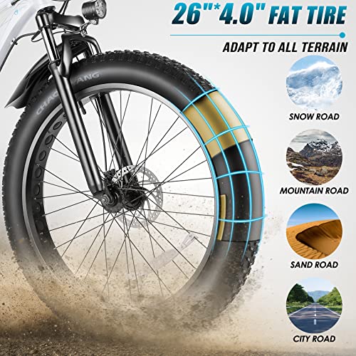 26" x 4.0 Fat Tire Electric Bicycle with 48V 13AH Removable Lithium-Ion Battery C21135