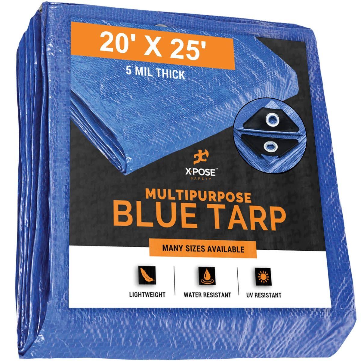 Blue Poly Tarps 20 x 25 Case of 4 P248