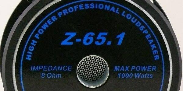 10x22 Black Subwoofer Z25685
