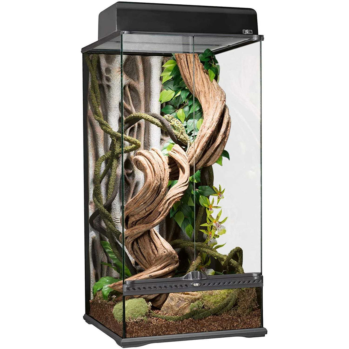Glass Terrarium B2692