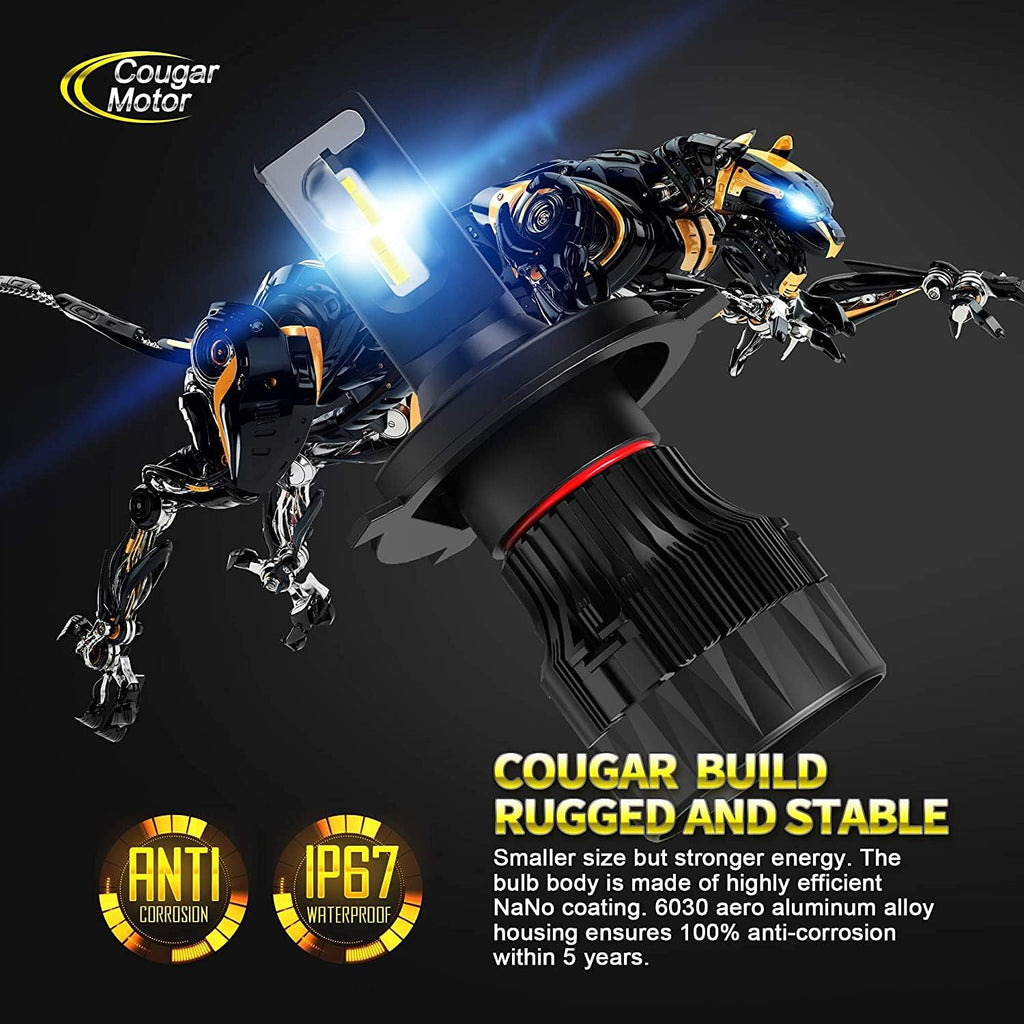 X-Small H4 LED Bulb, 6500K Cool White, Pack of 2 V59819
