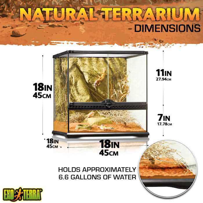 Glass Terrarium B2692
