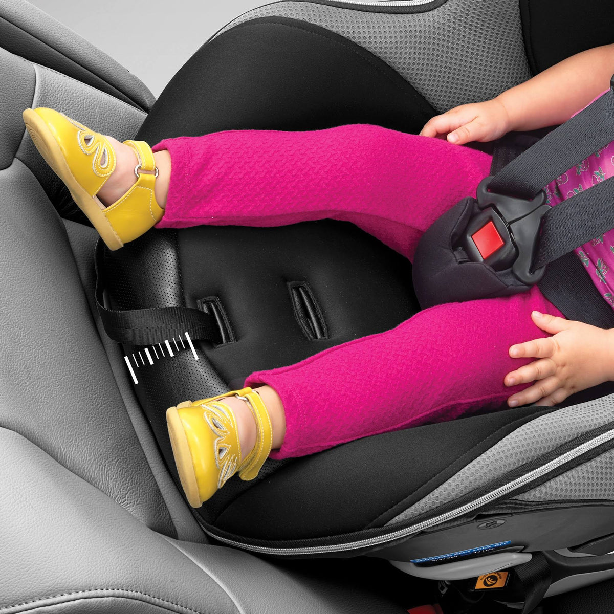 Convertible Car Seat - Black N185911