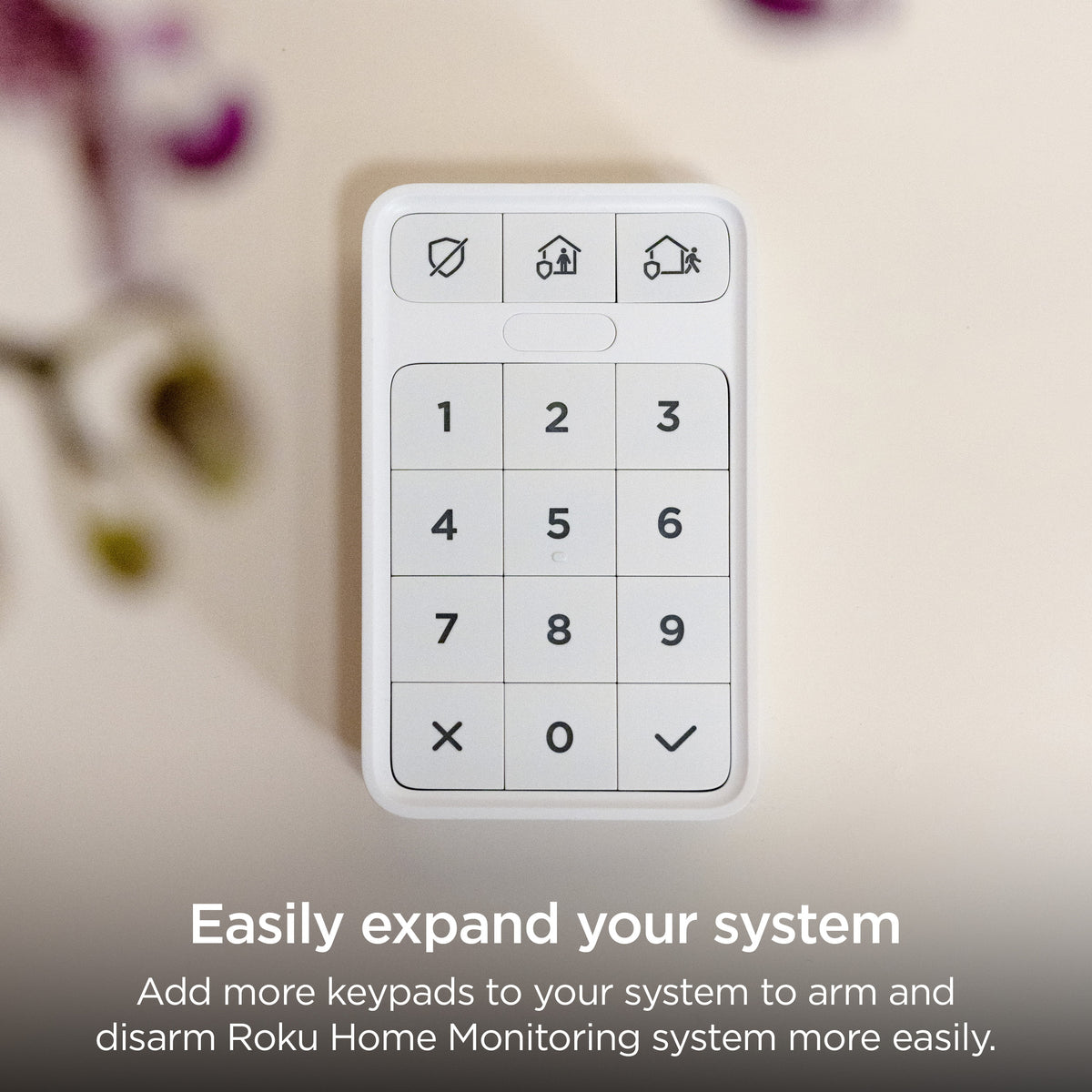 Wireless Indoor Keypad with Panic Button H80819