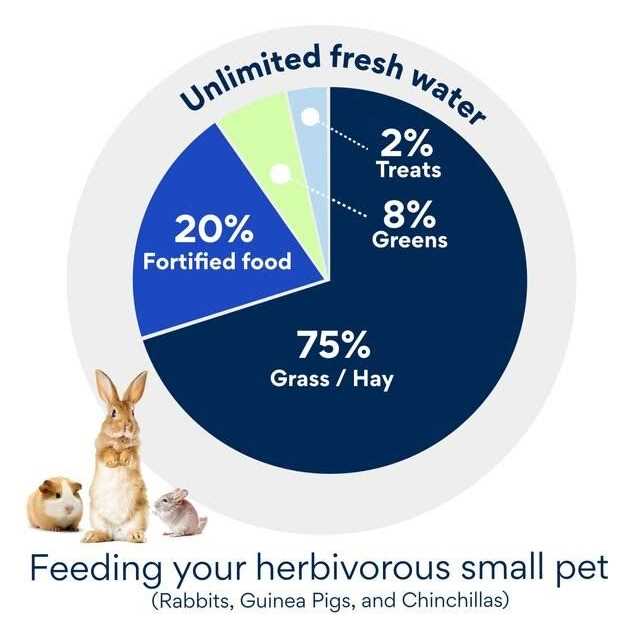 Interactive Small Animal Treat I866