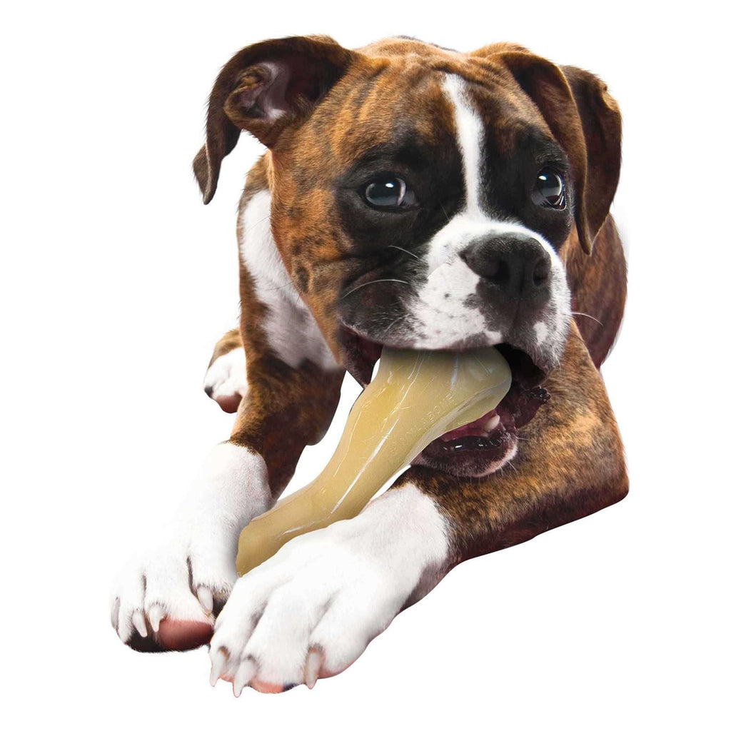 Beef Bone Q487853