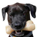 Beef Bone Q487853