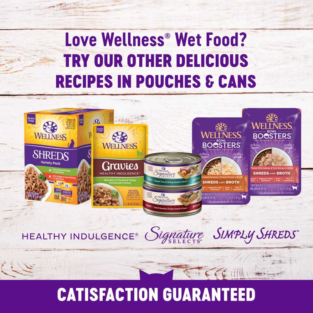 Cat Food I25063